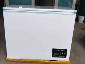DWX低溫試驗箱
